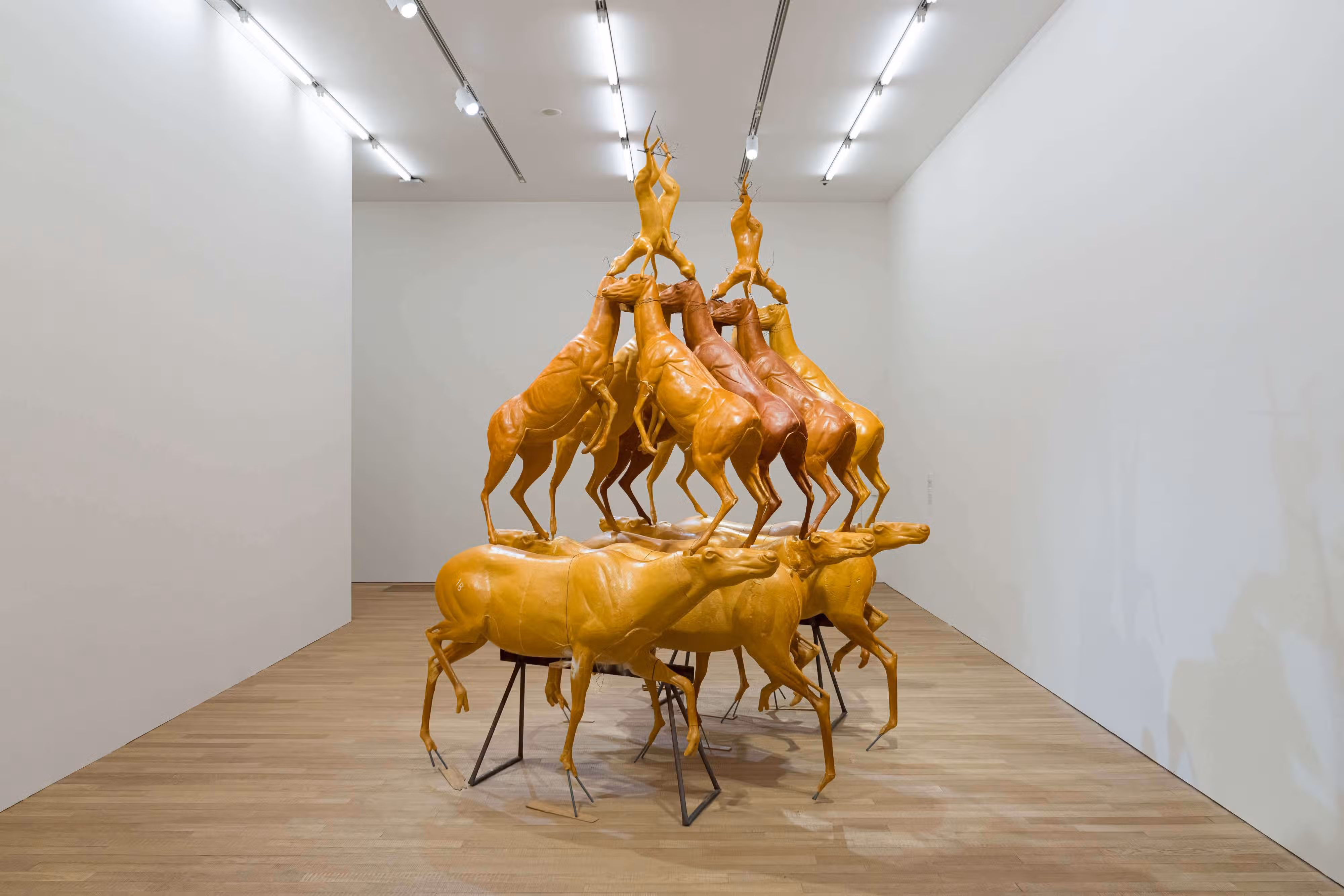 Bruce Nauman