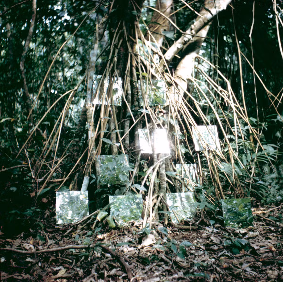 Robert Smithson