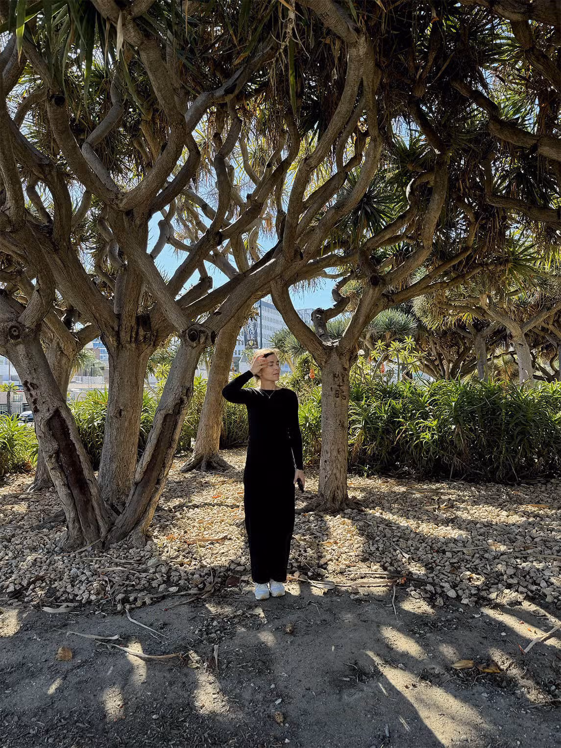 Sabine Moritz. Photography by Meka Boyle.