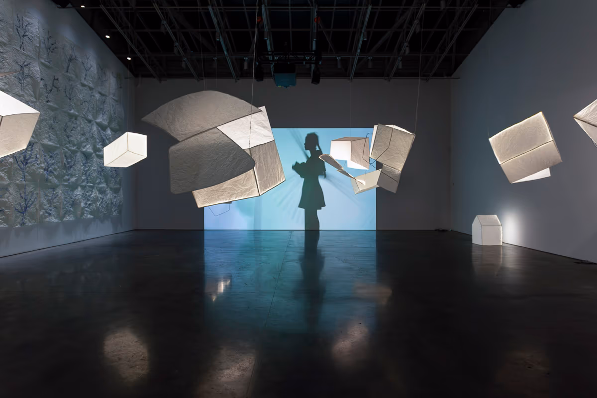 Installation view of 