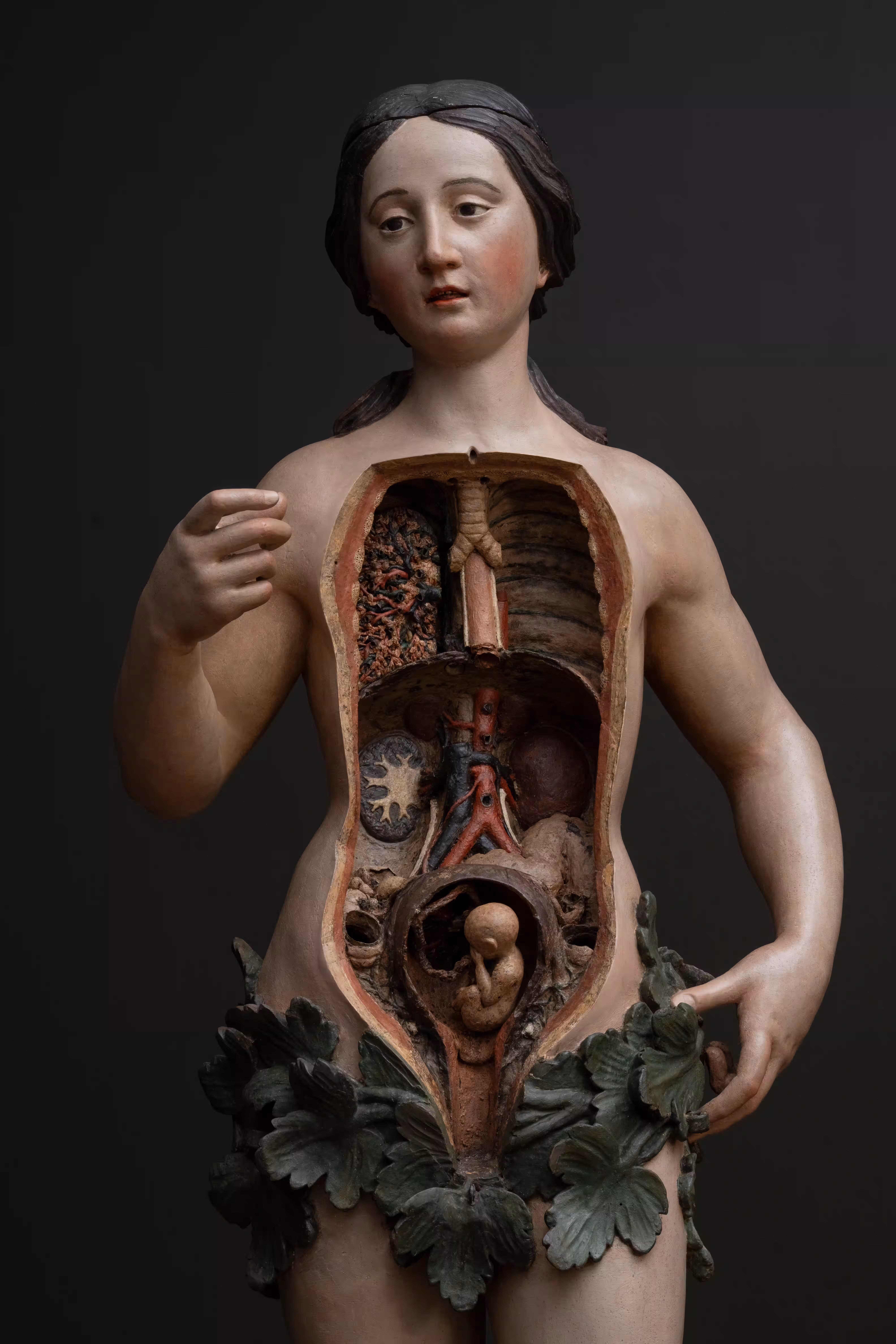 Eva Anatomica