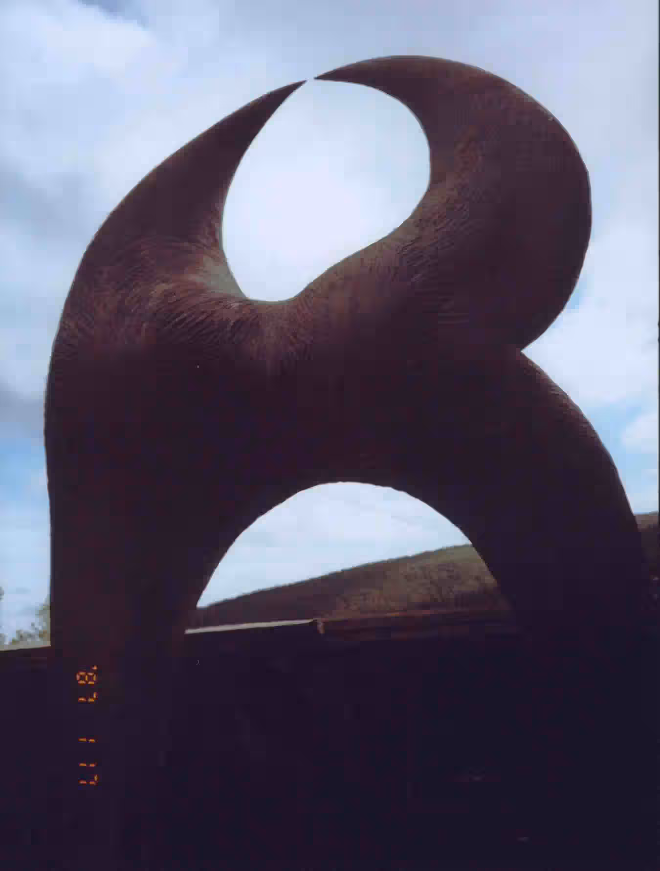 Detail of Bruno