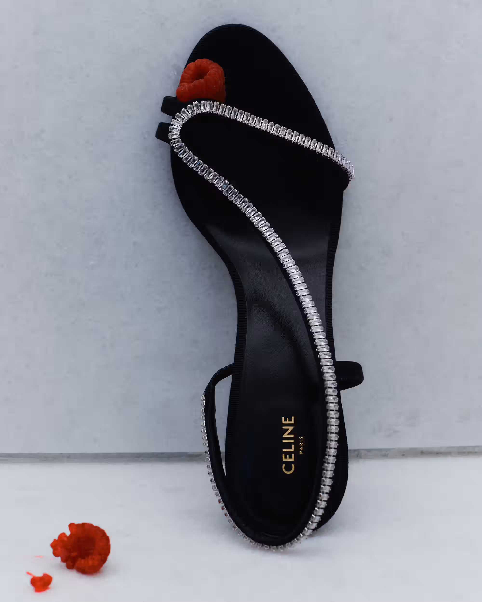Shoe by CELINE BY HEDI SLIMANE.