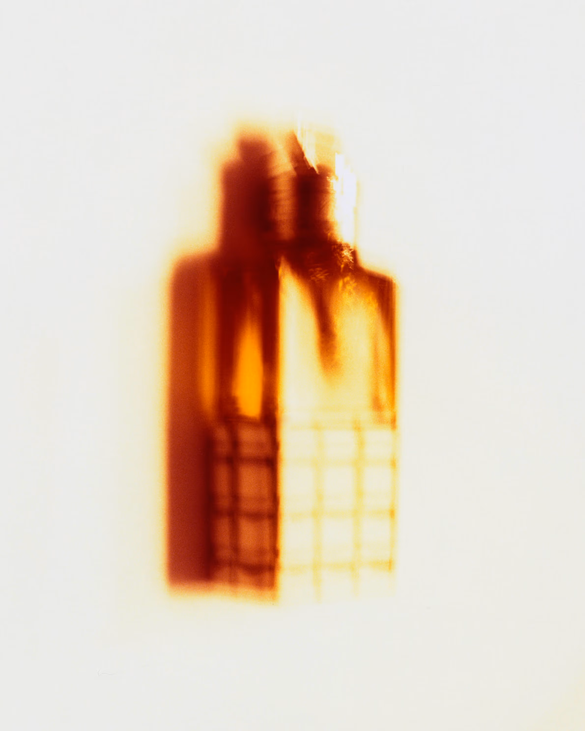 Eau de Parfum by DRIES VAN NOTEN.