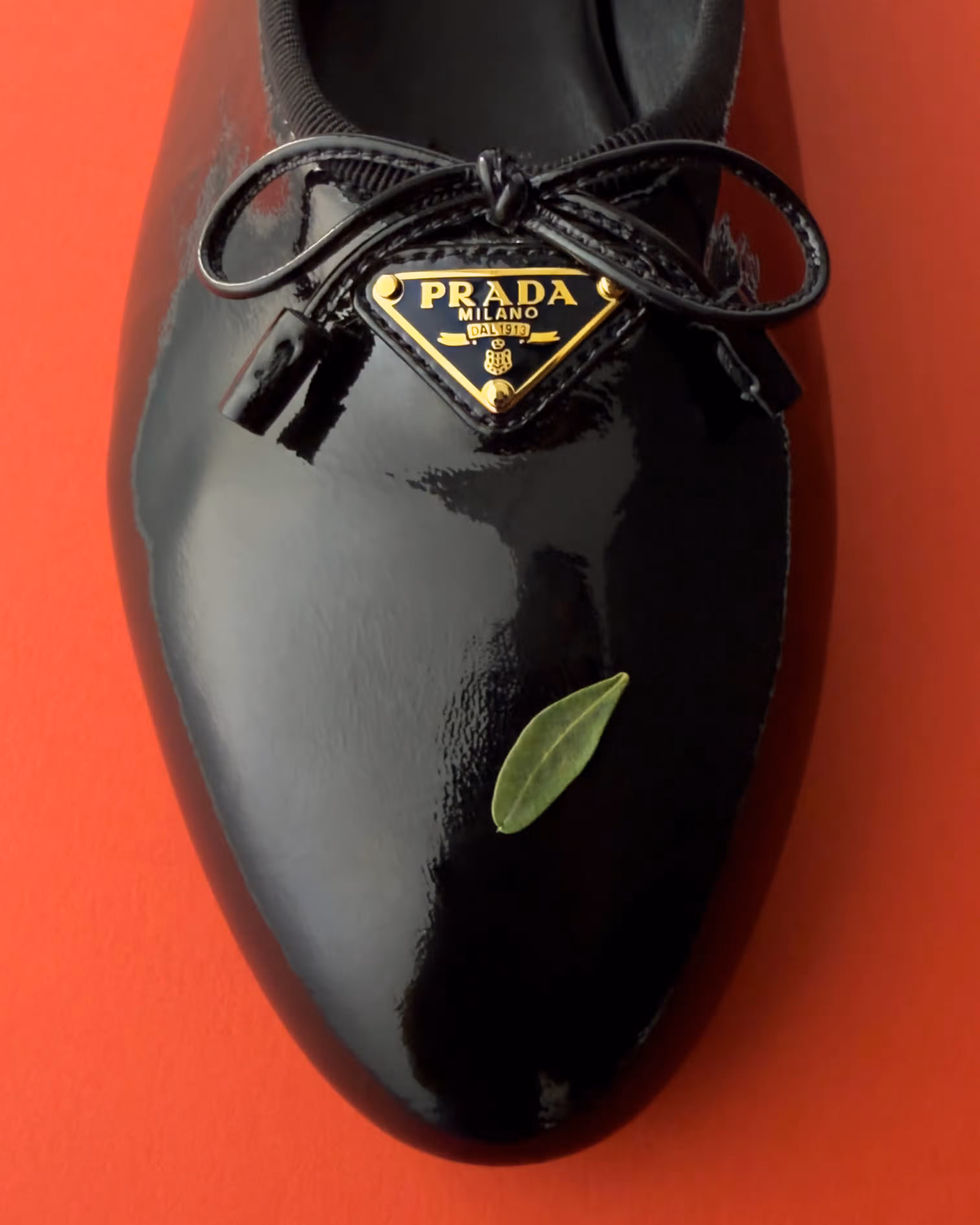 Shoe by PRADA.