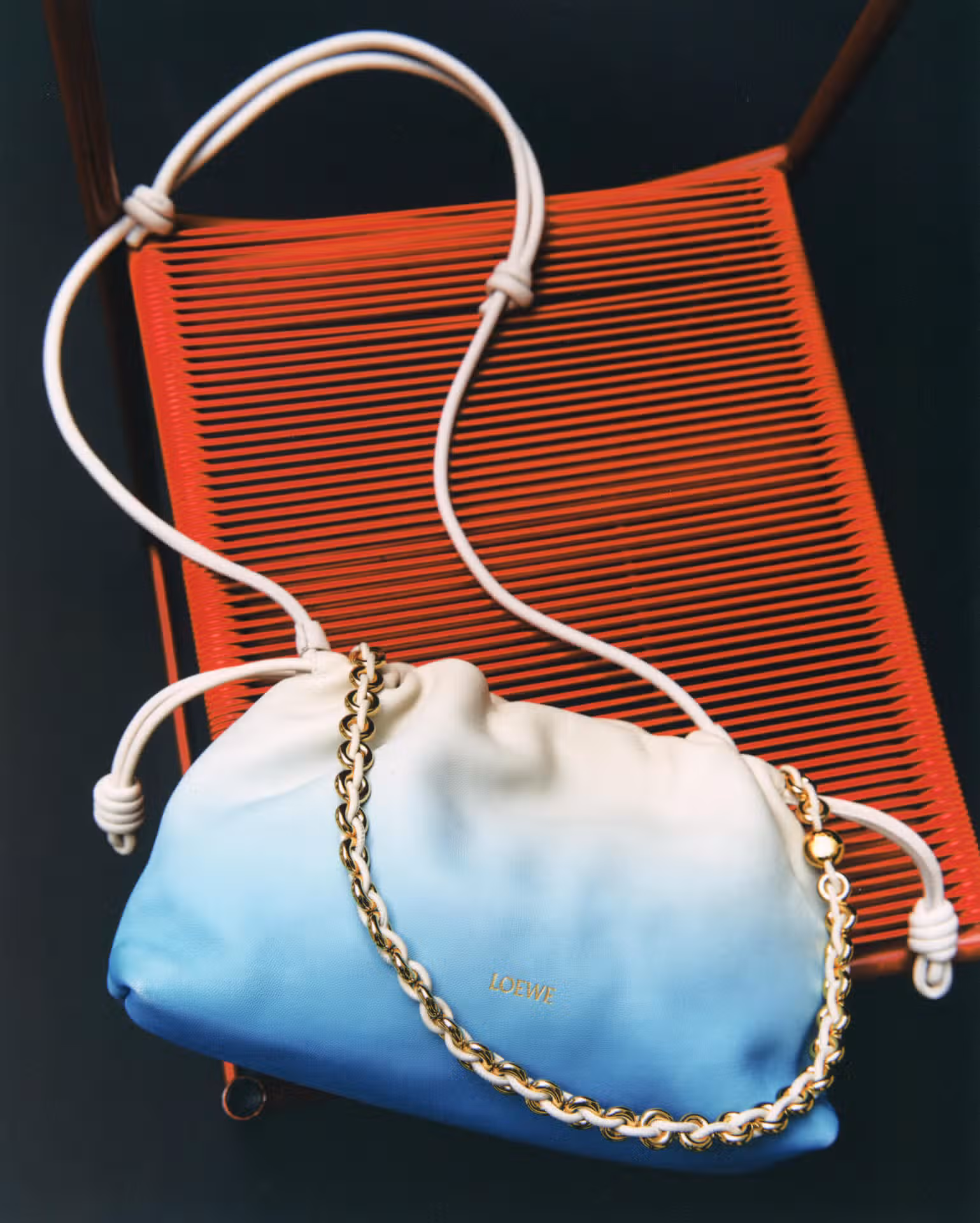 Bag by LOEWE.