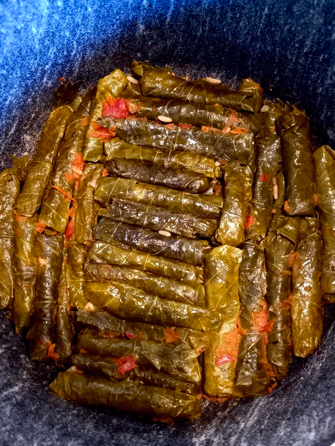 Image courtesy of Solène Gün.