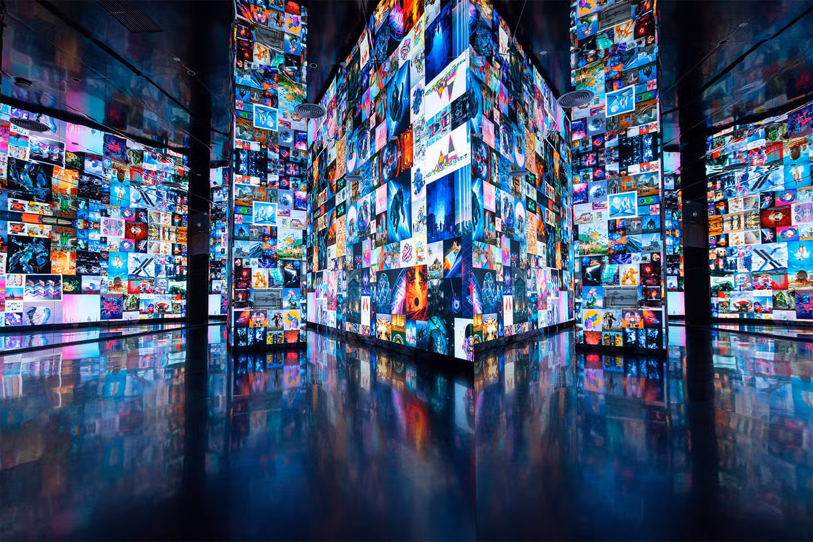 Installation view of 