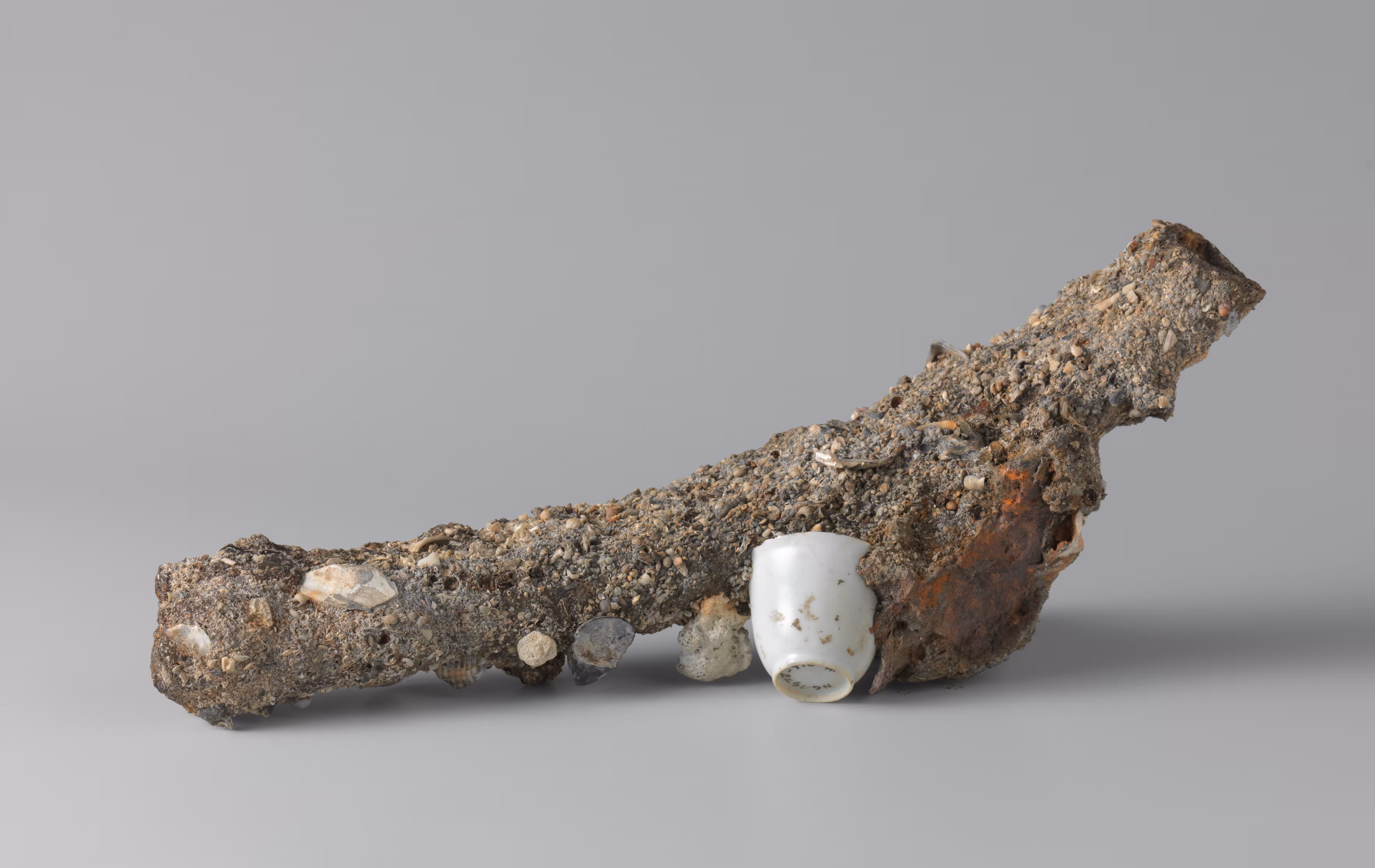 Porcelain and pepper from the VOC trading ship the Witte Leeuw